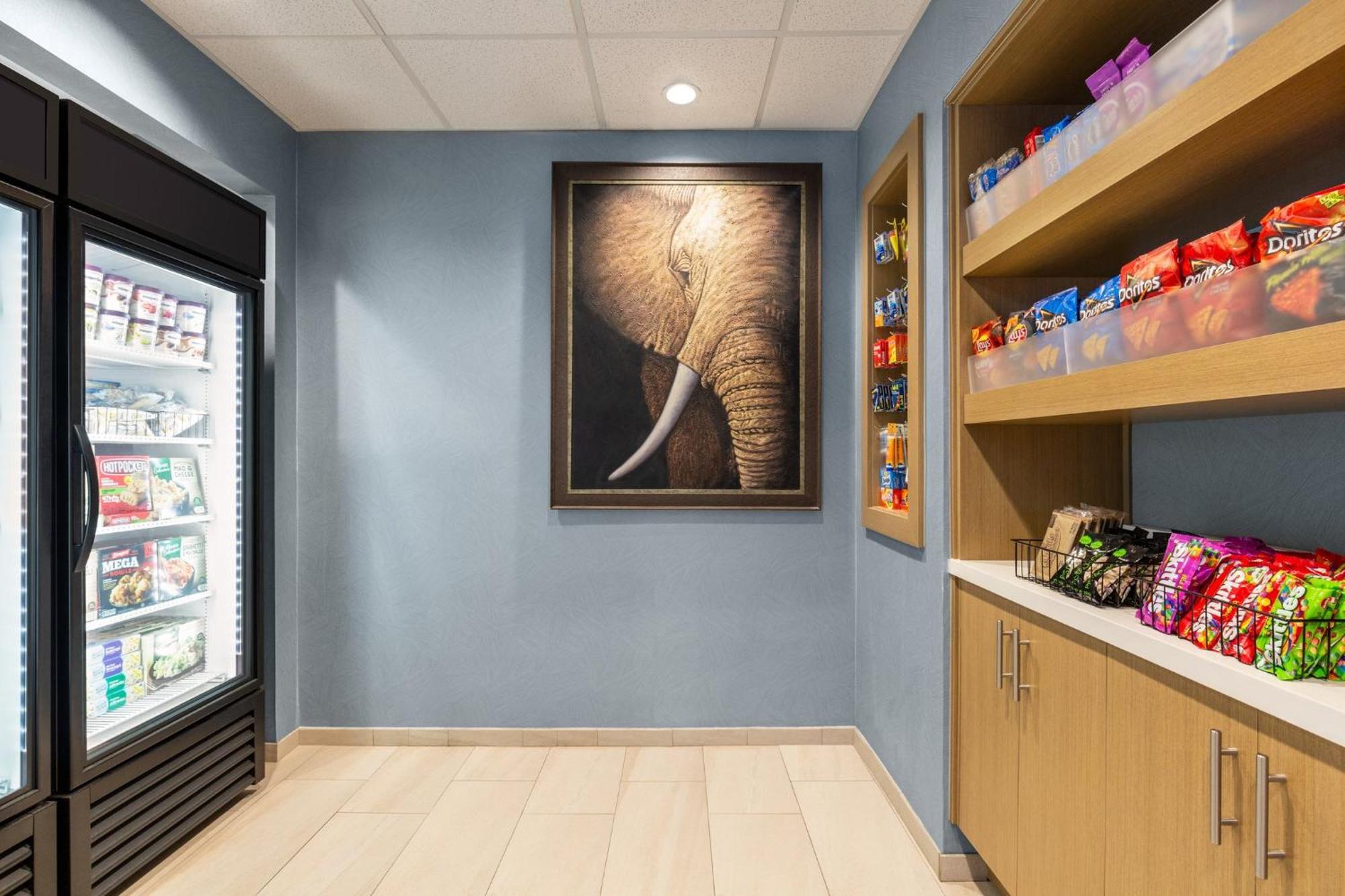 Holiday Inn Express & Suites - Tuscaloosa-University By Ihg Ngoại thất bức ảnh